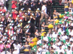 東海大相模 アルプス