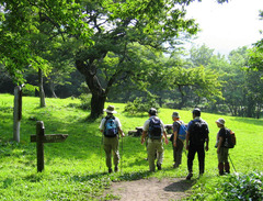 2004.7.25　道後山