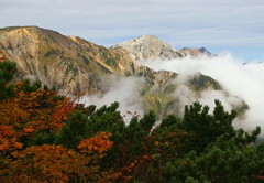 IMGP0048-2