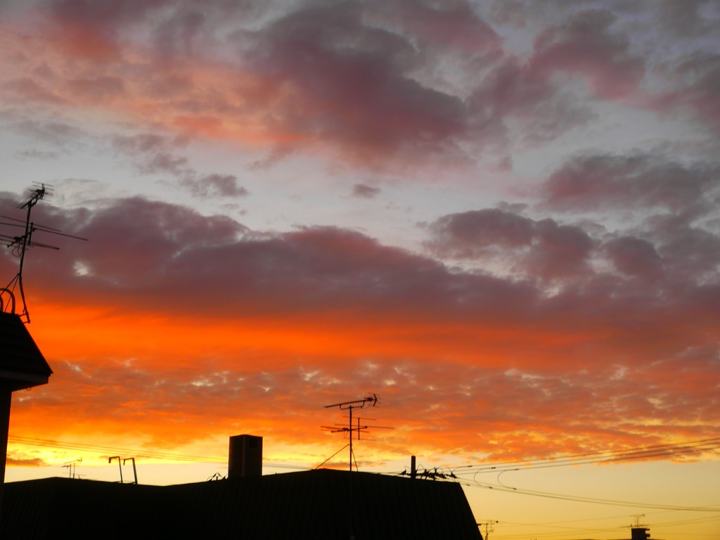 夕焼け