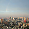 東京タワーと虹
