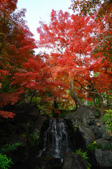 けいはんな記念公園　水景園