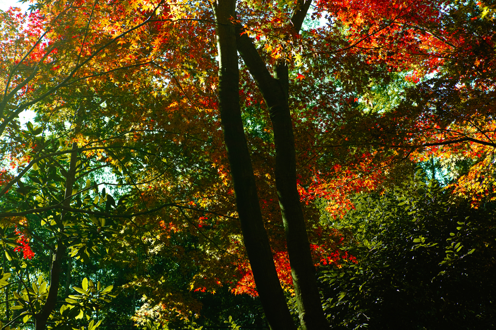 SDIM0332
