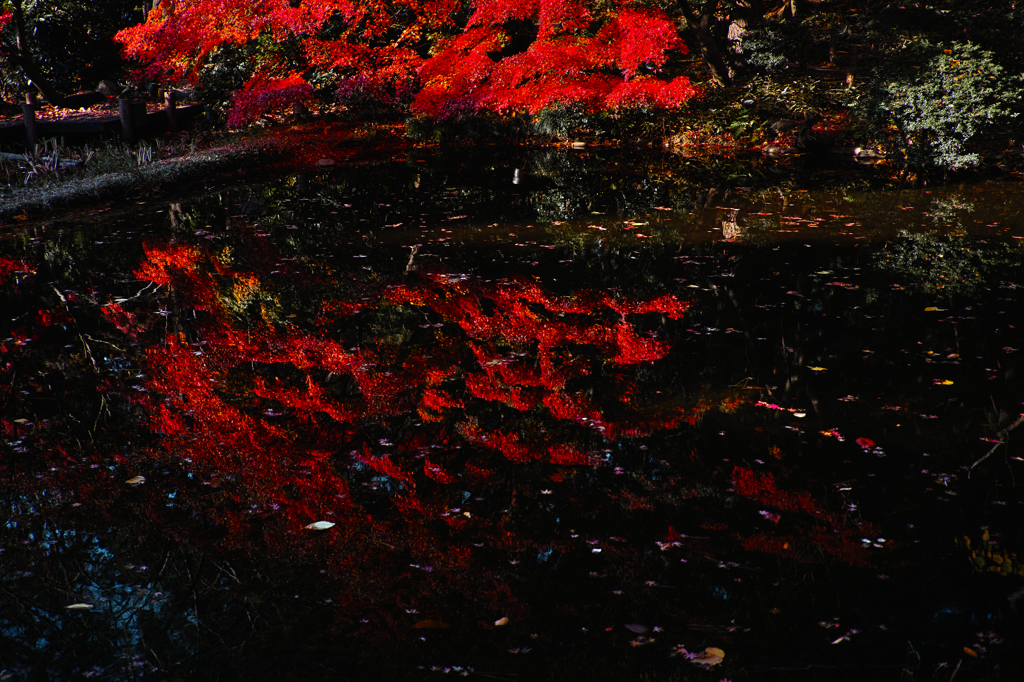 SDIM0408