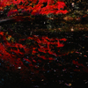 SDIM0408