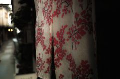 SDIM1393