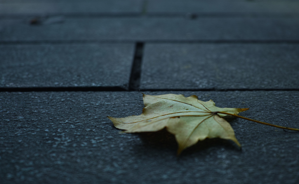 SDIM0093-1