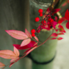 SDIM4238