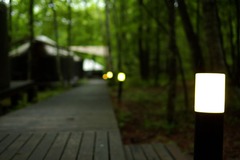 camp1-11