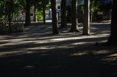 IMGP2343