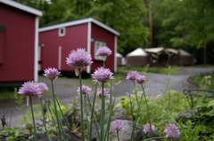 camp1-10
