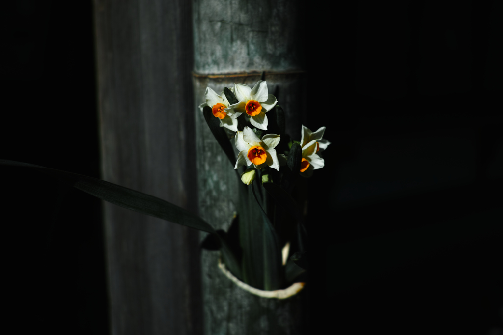SDIM0979