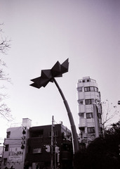 daikanyama1-4