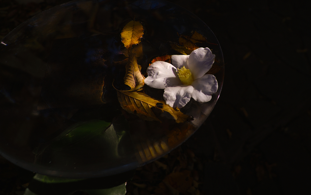 SDIM0112-1