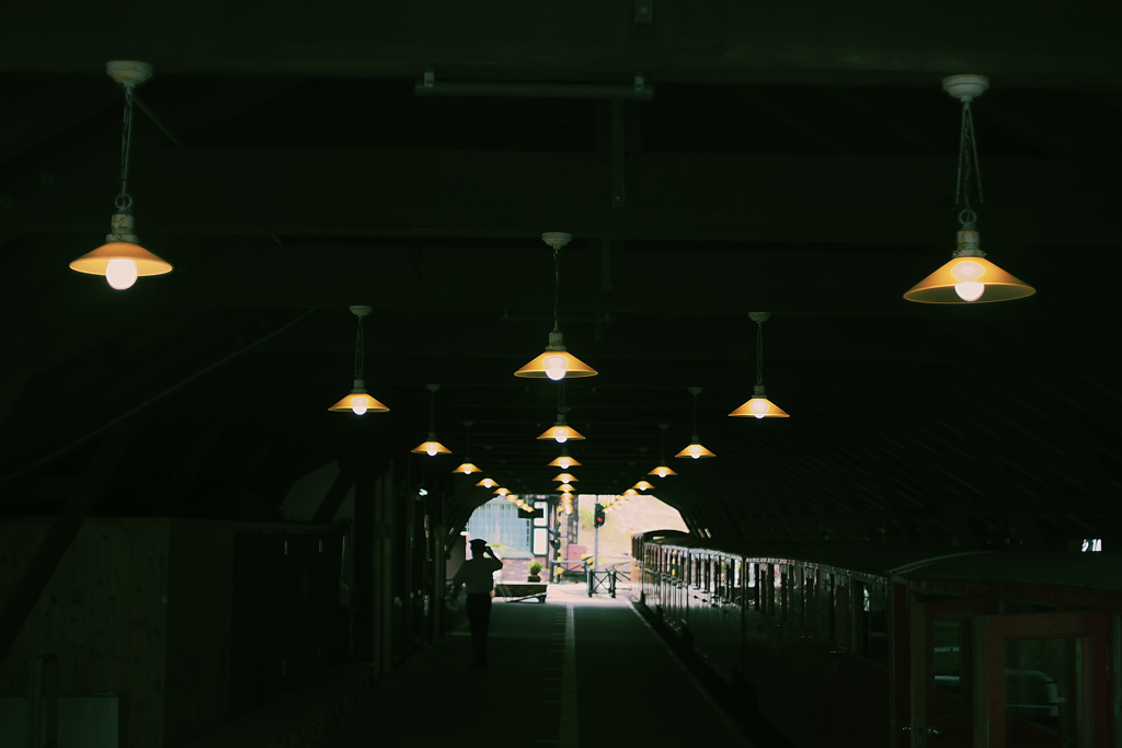 DSCF8066