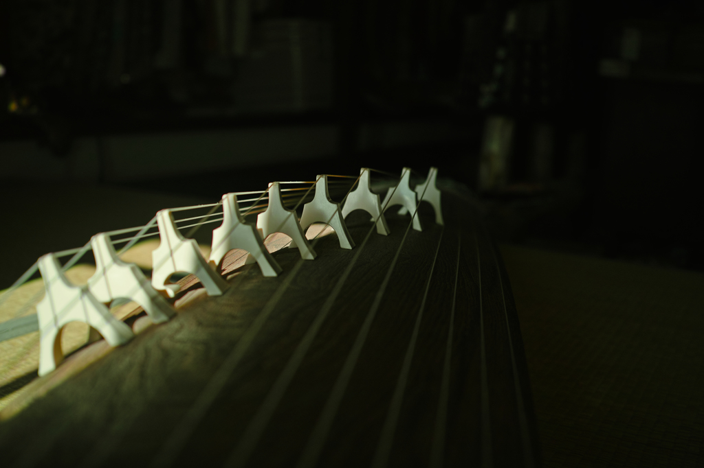 SDIM0782