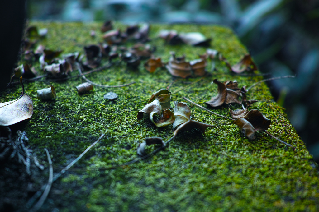 SDIM0084