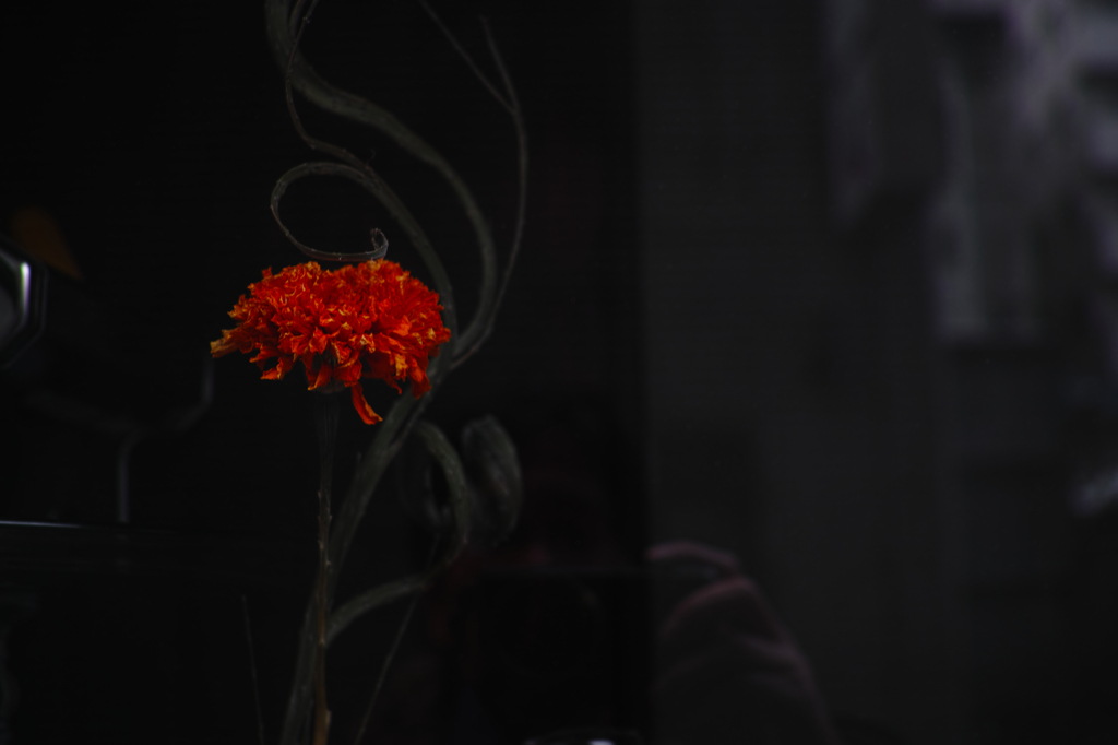 SDIM1100