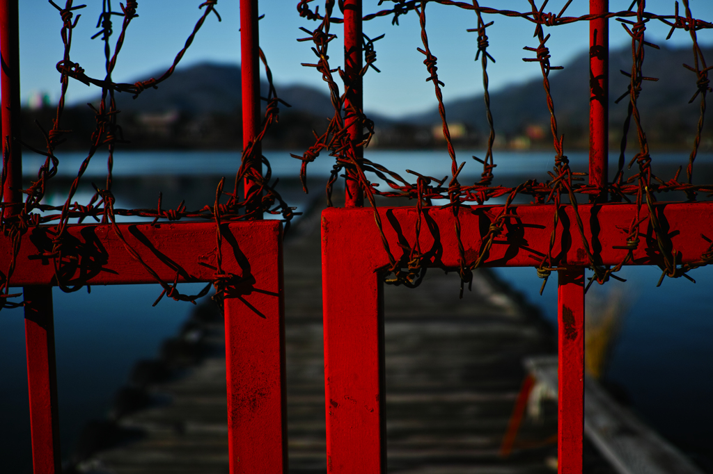 SDIM0539