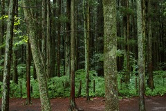 camp1-4