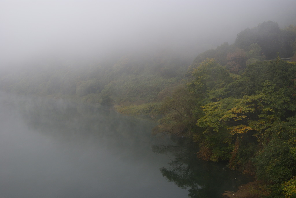 朝霧3