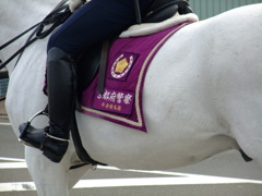 平安騎馬隊