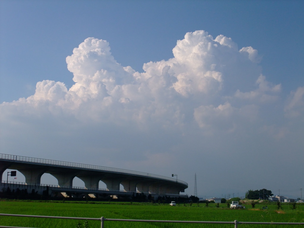 夏の空