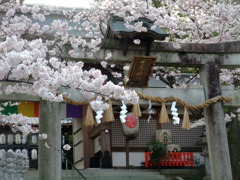 岩屋神社