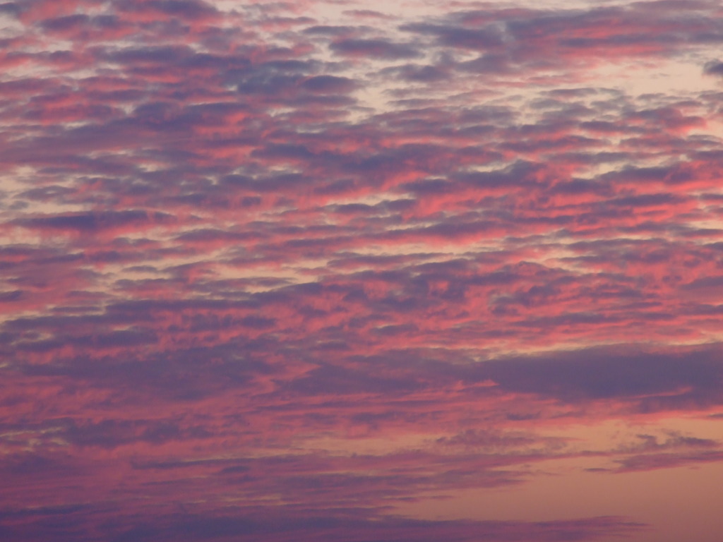 夕焼け