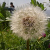ＧＷの一コマ