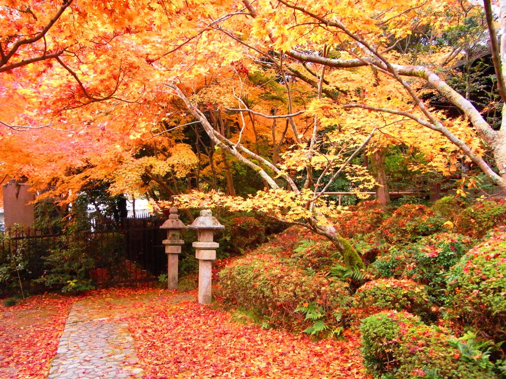 紅葉13