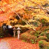 紅葉13