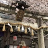 桜　岩屋神社
