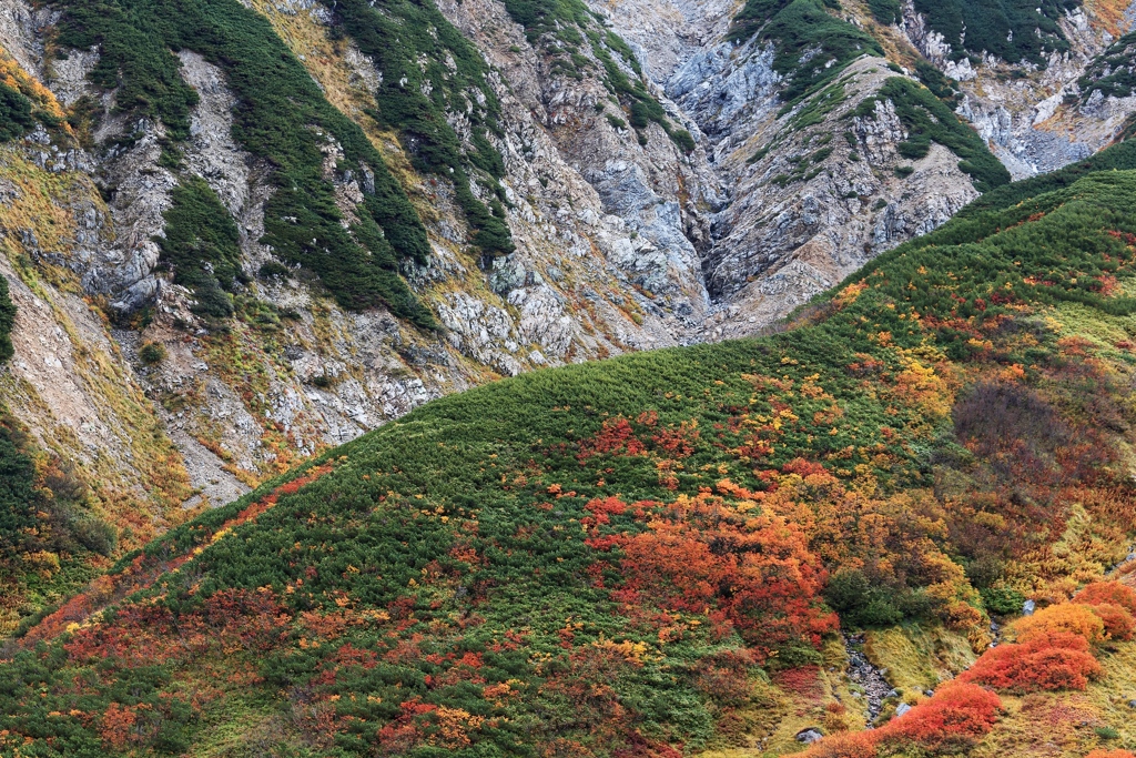 立山錦秋 Ⅱ