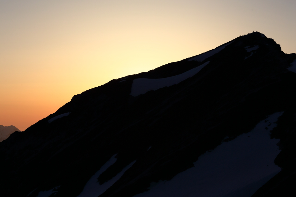 夕照唐松