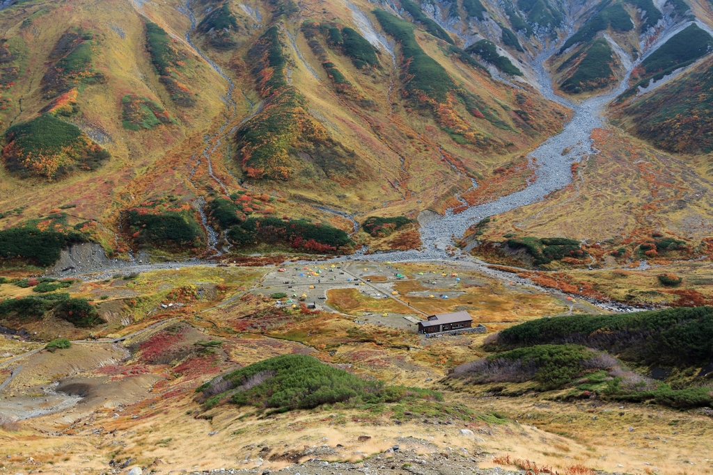 立山に秋が来てますよ