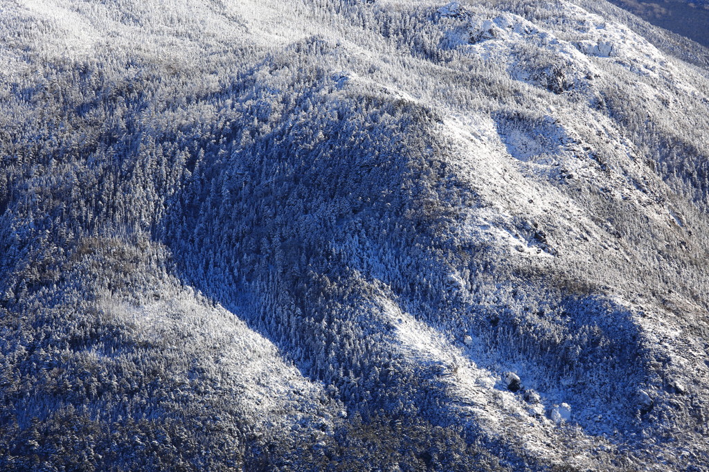 White Forest