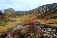 立山錦秋 Ⅲ