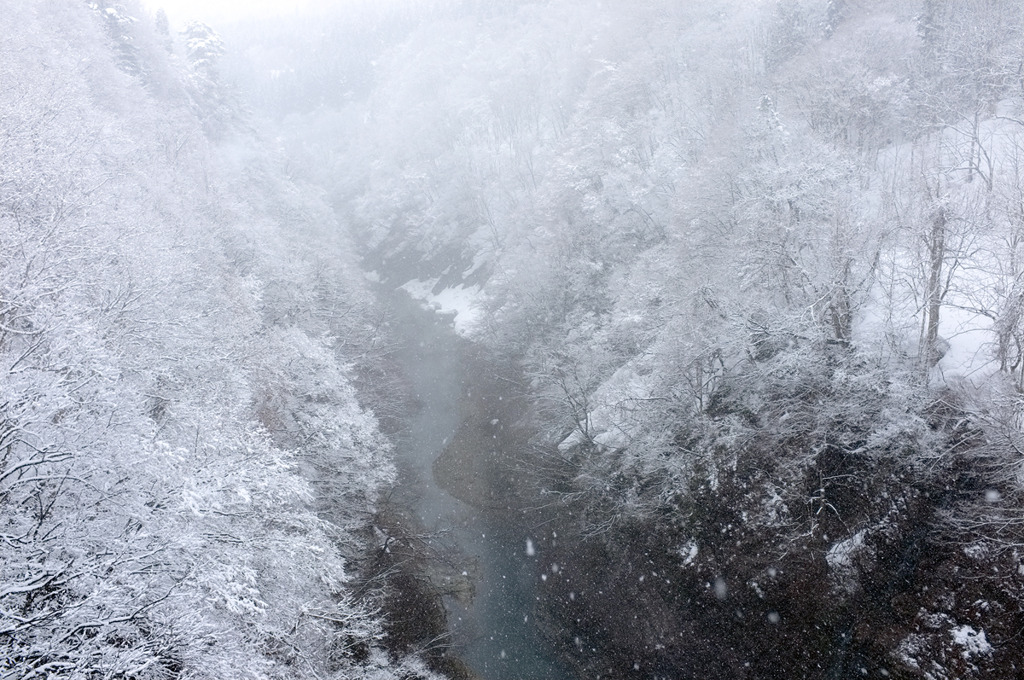 DSCF0556