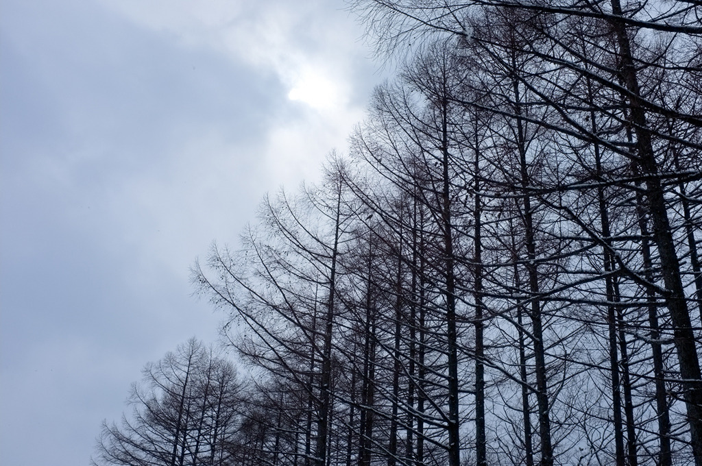 DSCF0209
