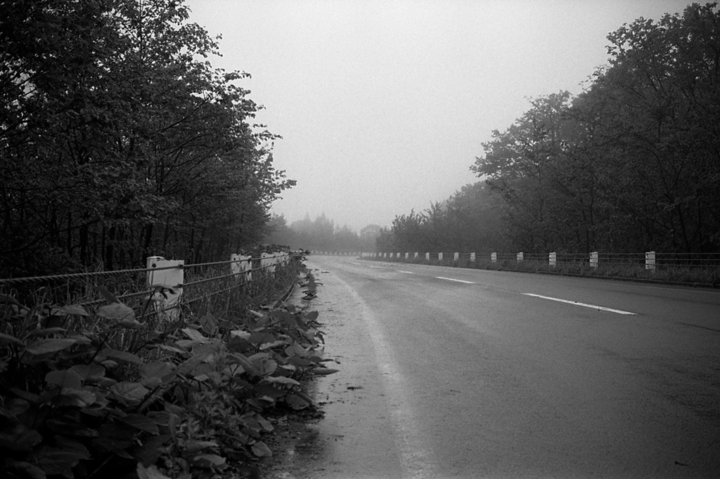 IMG005