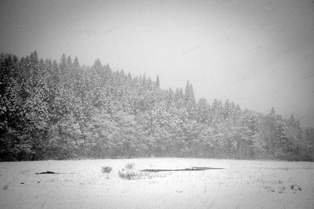 Winterbreath2009-2010_IMG_0025
