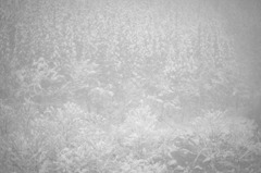 Winterbreath2009-2010_IMG_0004