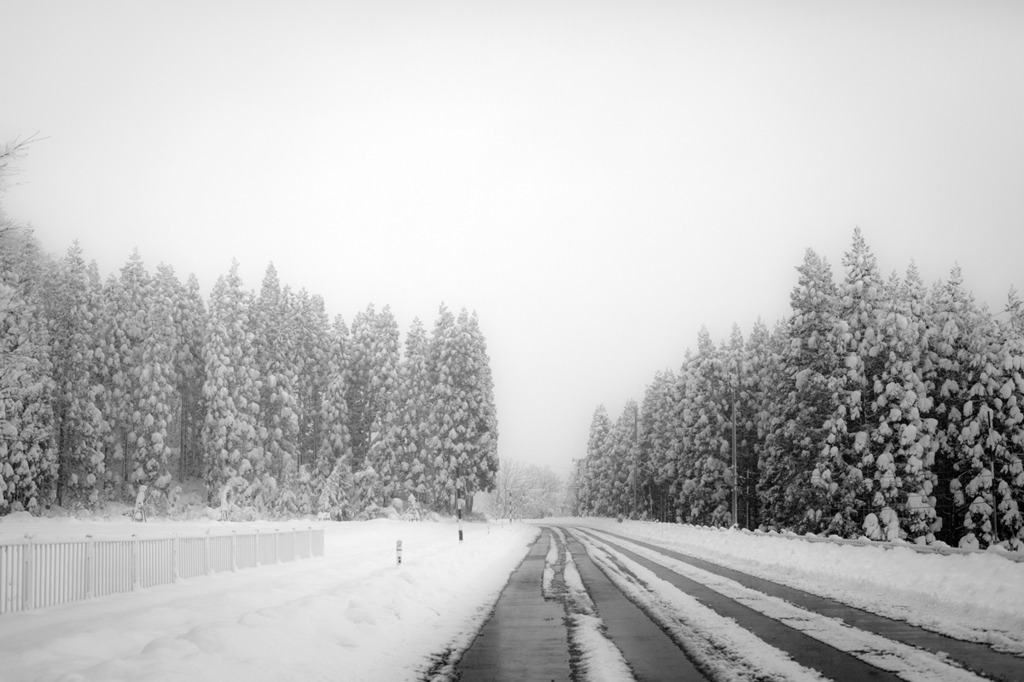 Winterbreath2009-2010_IMG_0002