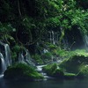 苔むす元滝