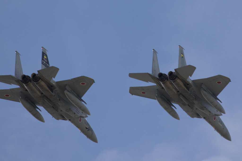 two of flying eagles