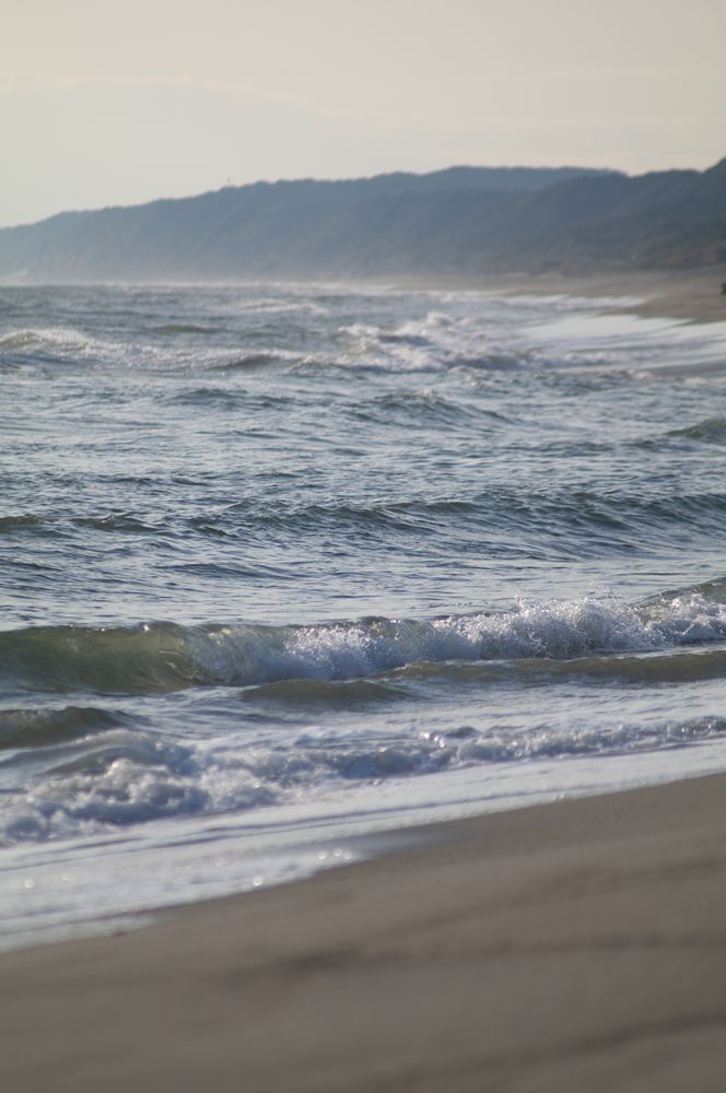 海