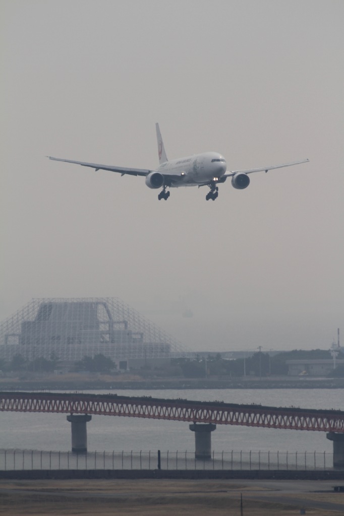 ７DでB７