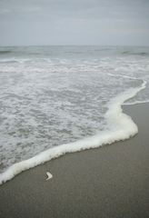 波打ち際