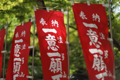 秋風 秋風